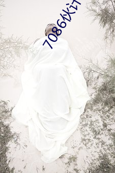 7086伙计靓仔精华区