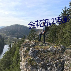 金花瓶2電影免費