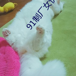 91制厂女忧上(上)线观