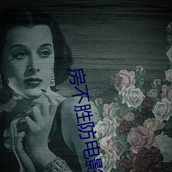 房不胜防(fáng)电影