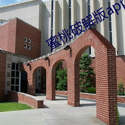 蜜桃破解版app下载i