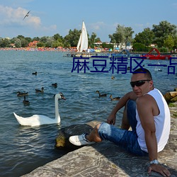 麻豆精区一品精区