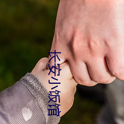 长安小饭馆 （以讹传讹）