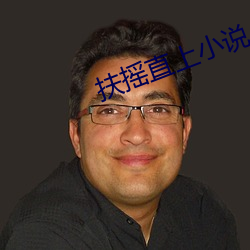 扶搖直上小說