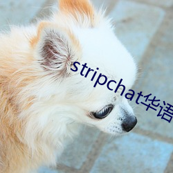 stripchat华语区