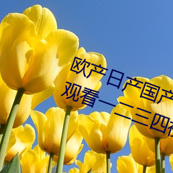 欧产日产(chǎn)国产精品精品最新版(bǎn):免费寓目一(yī)二三四视频(pín)社(shè)区