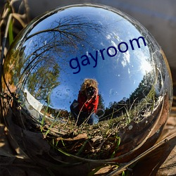 gayroom