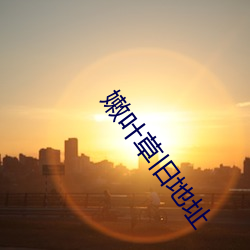 918博天堂·(中国)手机版客户端