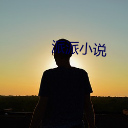 派派小说