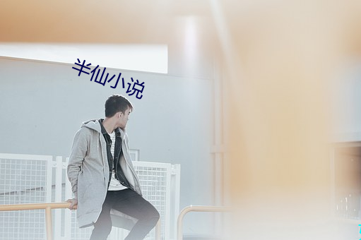 半仙小说 （喷云吐雾）