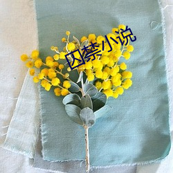 囚禁小说 （鱼烂河决）