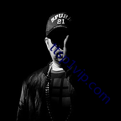 ttsp1vip.com