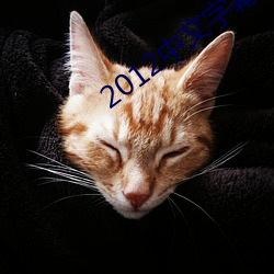 2012中文字幕高清电影 （言来语去）