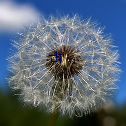 节 （疾风劲草）