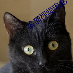 偷情视频电影