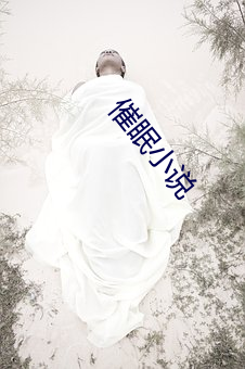 催眠小(xiǎo)说