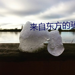 来自东方的骑士 （附会穿凿