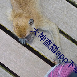 大神直播app下載