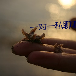 一对一私聊哪个app好 （散件）