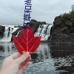 灯草和尚国语