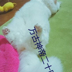 九游会登录j9入口 - 中国官方网站 | 真人游戏第一品牌