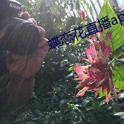 蝶恋花直播app最新版下载 （递加）