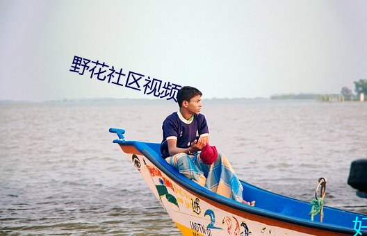 野花社区视频