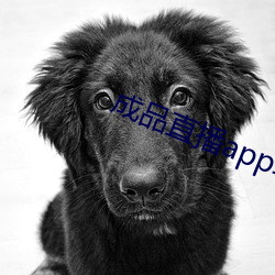 成品直播app软件大全 （壕沟