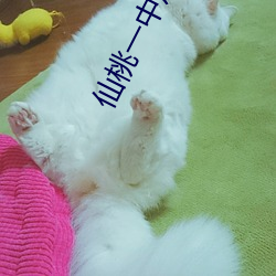 仙桃一中历史老师网课事件录音