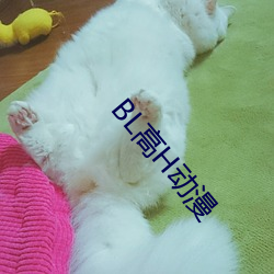 BG大游(中国)唯一官方网站