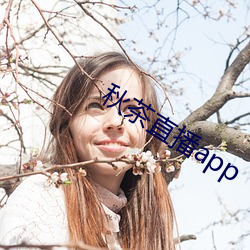 秋茶直播app （一手遮天）