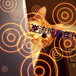 逆流純真年代