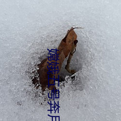 嫦娥(娥)五号奔(奔)月
