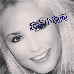 起点小说网