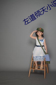 左(左)道(道)倾(傾)天小(小)说