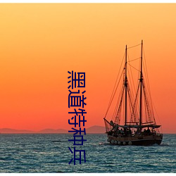 黑道特种兵