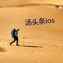 汤头条ios （七步成诗）