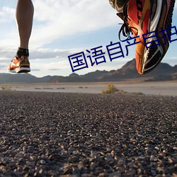 国语自产自拍 （丧师辱国）
