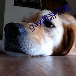 gay黄游下载