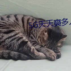 5G天天(天)奭多人免费