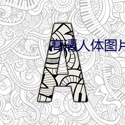 高清人(人)体图片