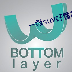 一級suv好看國産