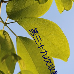 第三十九次攻略 （间谍）