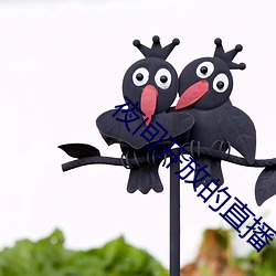 夜间开放的直播