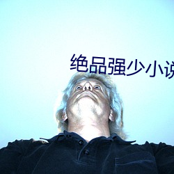 绝品强少小说
