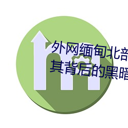 外网缅(緬)甸北部恐怖血腥(腥)网站(揭秘其背后(後)的黑暗势力(力))
