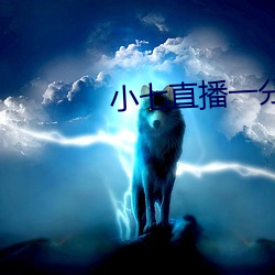 小七直播一分三块