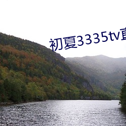 初夏3335tv直播安卓版