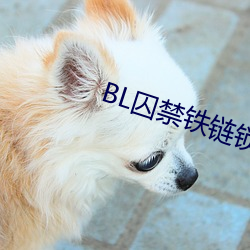 BL囚(qiú)禁铁链锁在床头