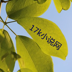 17k小说(說)网(網)